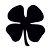 49802107 0 2 - Black Clover Shop