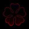 7951332 0 2 - Black Clover Shop